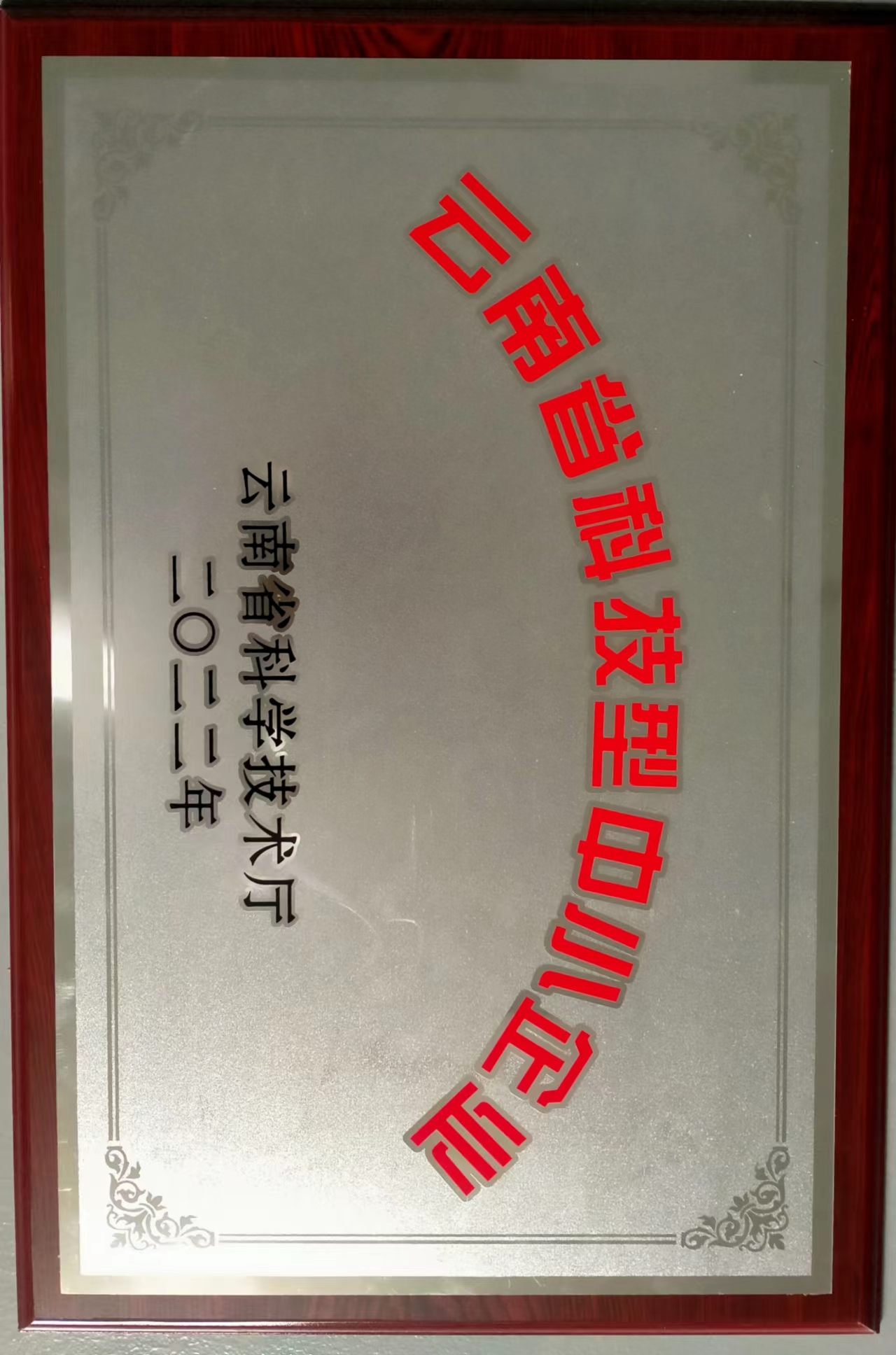 雲南省科技型中小企業