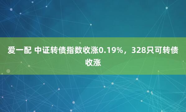 爱一配 中证转债指数收涨0.19%，328只可转债收涨