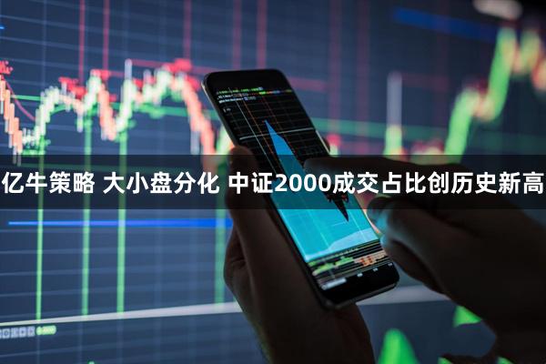 亿牛策略 大小盘分化 中证2000成交占比创历史新高