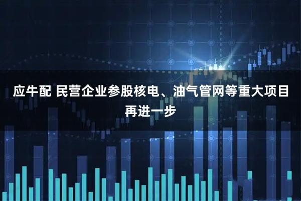 应牛配 民营企业参股核电、油气管网等重大项目再进一步